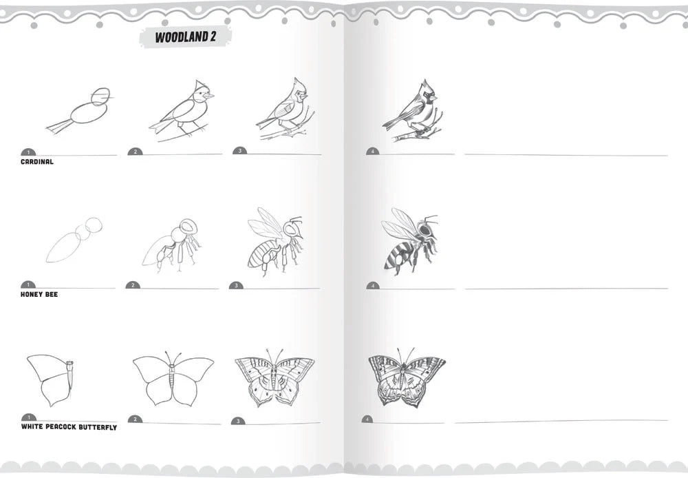 eeBoo Learn to Draw Bugs, Birds & Butterflies