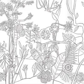eeBoo Fold Out Coloring Book: Bugs, Birds & Butterflies